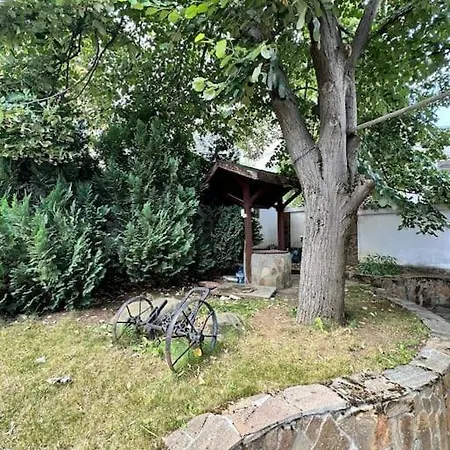 度假居 Lea House With Swimming Pool In Vitosha Mountain *